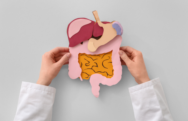 Guía de salud digestiva para el panameño: Consejos frente a la dieta local