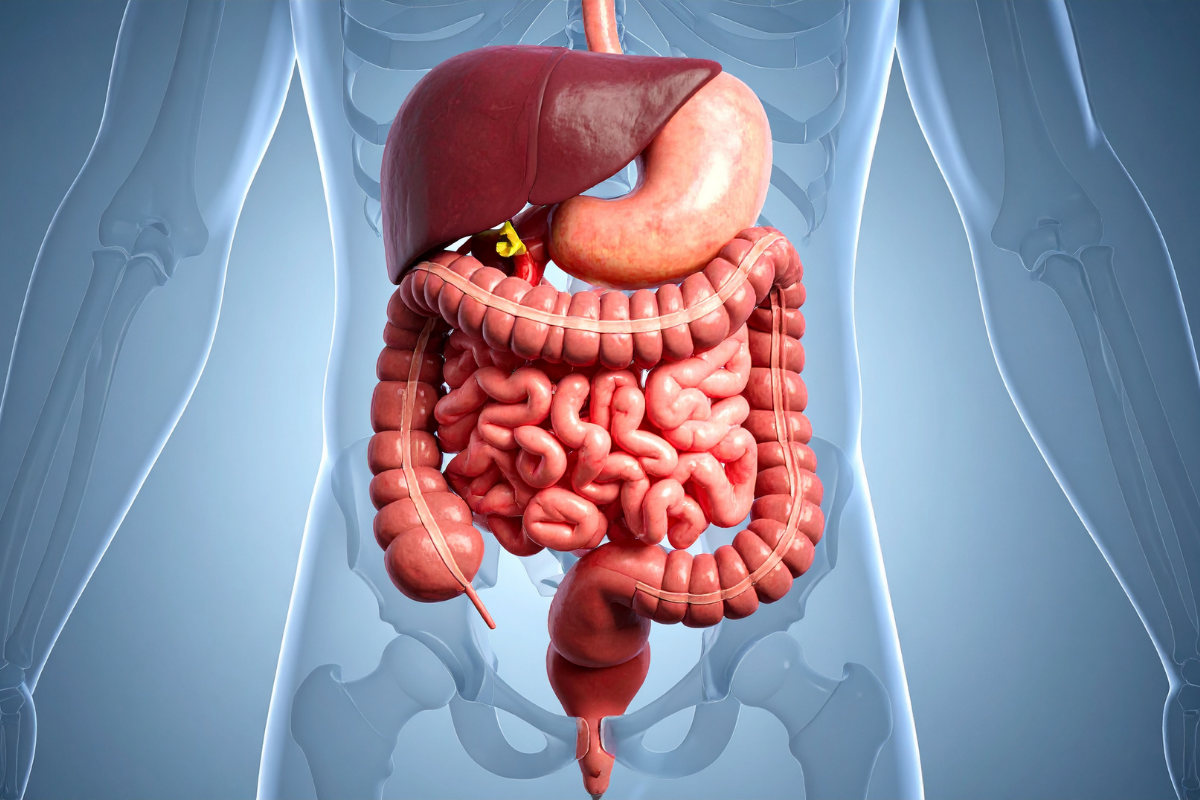 Endoscopy vs. Colonoscopy: What’s the Difference and Which Do You Need?